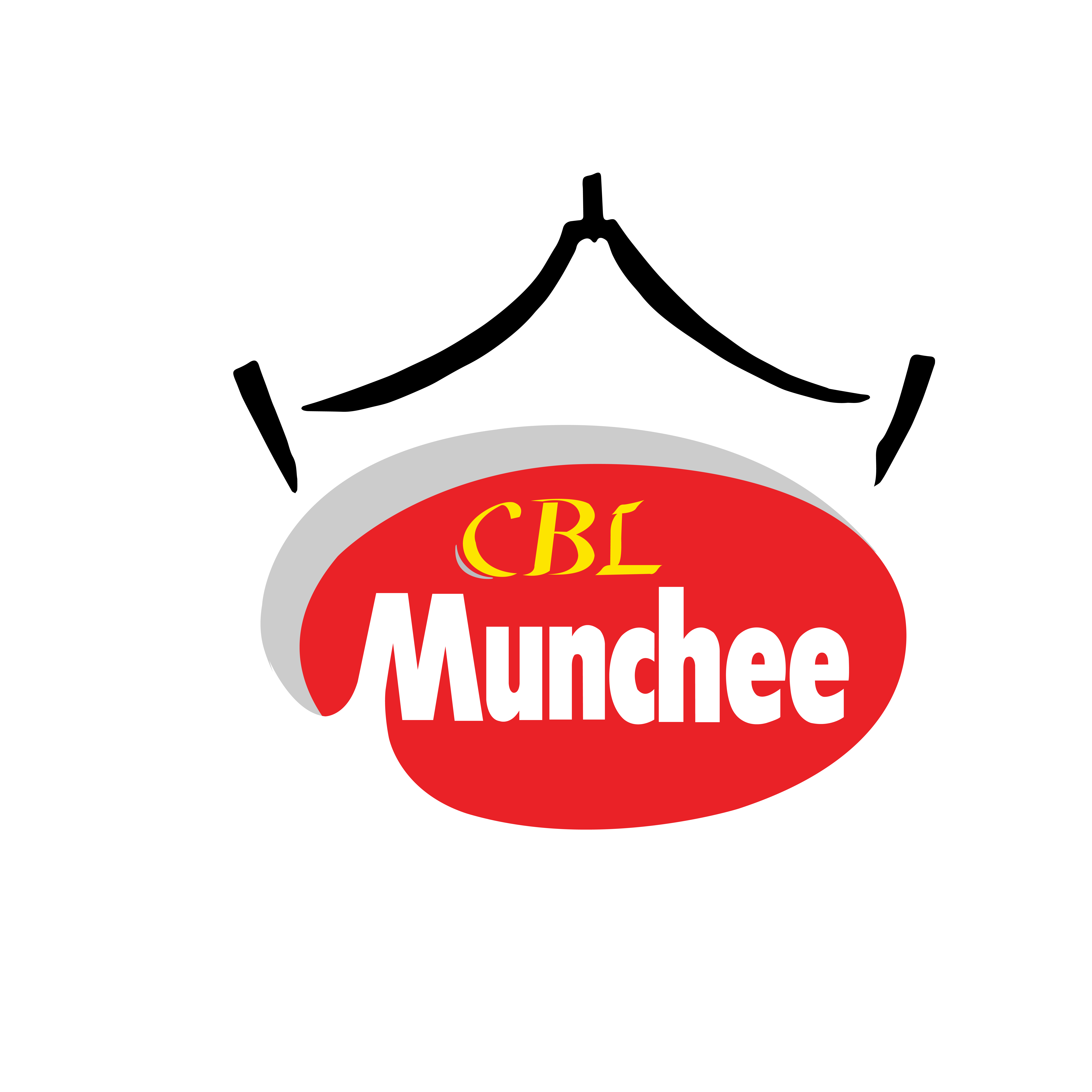 Munchee 'Snap It' Biscuit